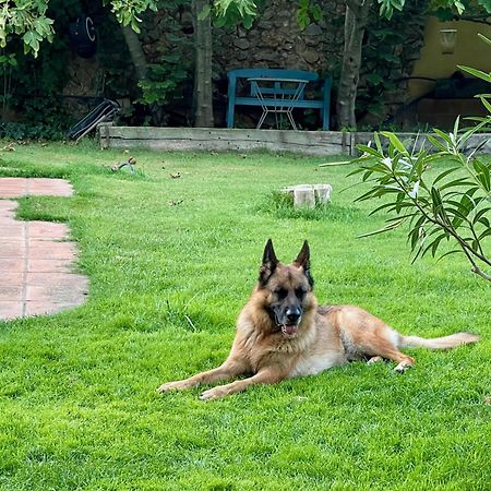 Santa Caterina - Dog Friendly With Garden Villa Sobrestany Eksteriør billede