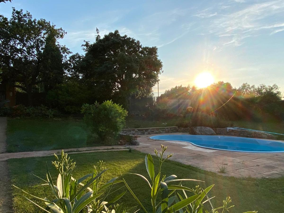 Santa Caterina - Dog Friendly With Garden Villa Sobrestany Eksteriør billede